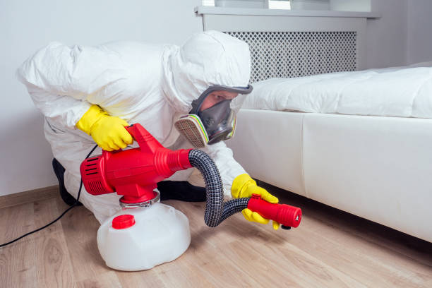 Best Local Pest Control Services  in New Carlisle, OH