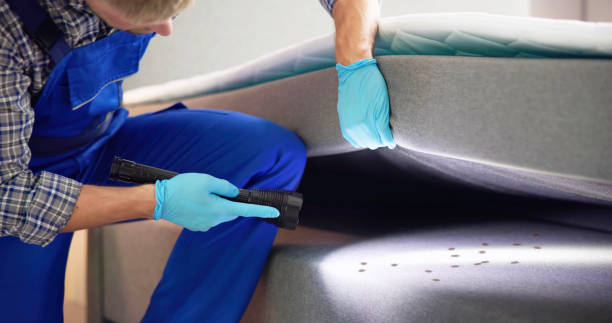 Best Affordable Pest Control Services  in New Carlisle, OH