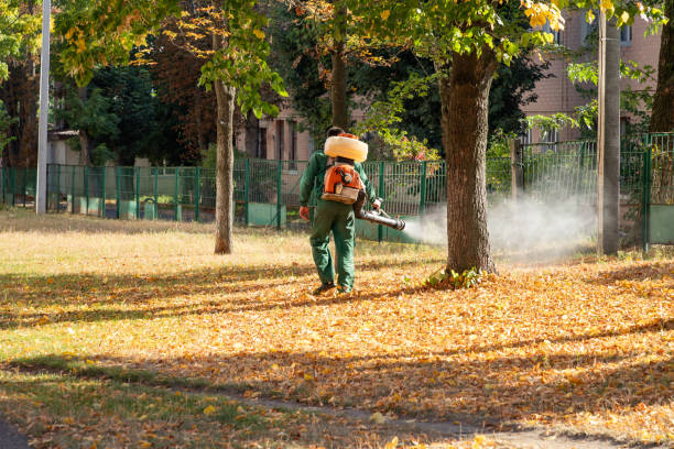 Best Pest Control Near Me in New Carlisle, OH