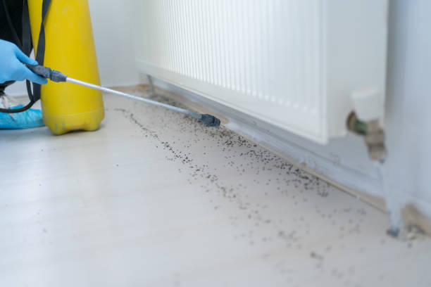Best Pest Prevention Services  in New Carlisle, OH
