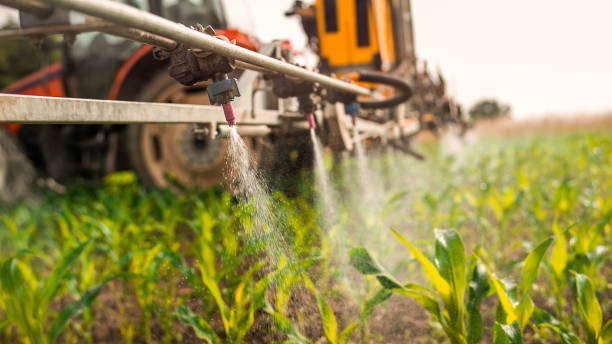 Best Mosquito Control Services  in New Carlisle, OH